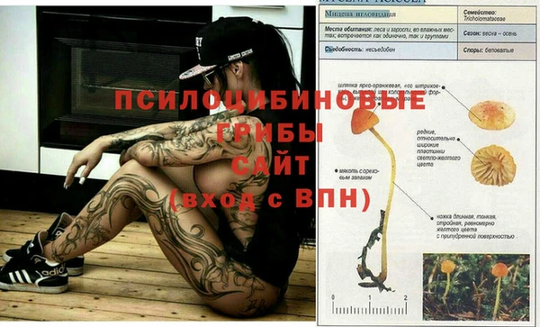 дживик Алзамай
