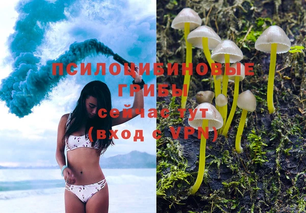 Альфа ПВП Осинники
