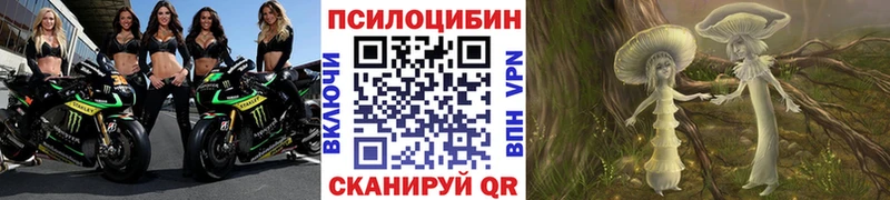 блэк спрут tor  Крым  Галлюциногенные грибы Cubensis 